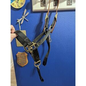Safety Horse Halter (Missing Strap)